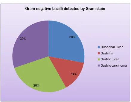Positivity of Gram negative bacilli  by Gram stain (n=120)TABLE – 6  