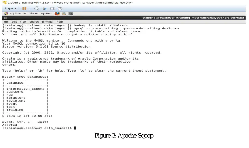Figure 2: Cloudera Distribution for Hadoop Platform (CDH)  