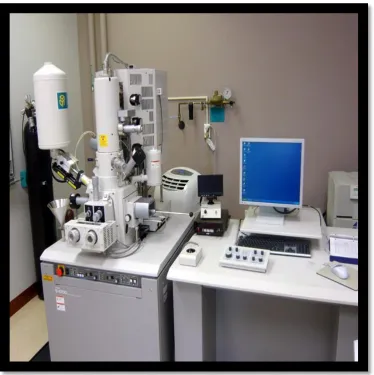 Fig 14: Scanning Electron Microscope 