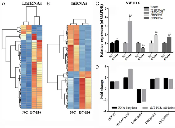 Figure 1. Differential expression of lncRNAs (A) and mRNAs (B) with and without B7-H4; Validation of RNA-seq data by qRT-PCR results for 3 lncRNAs and 2 mRNAs, (C) and (D) are qRT-PCR results and the comparison between qRT-PCR result and RNA-seq data, respectively.