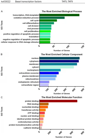 Table 1. Enriched KEGG pathways (mRNAs)