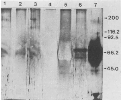 FIG.SDS-PAGE.