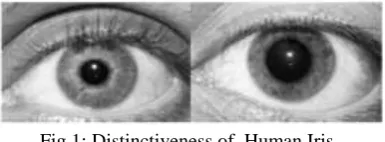 Fig 1: Distinctiveness of  Human Iris 