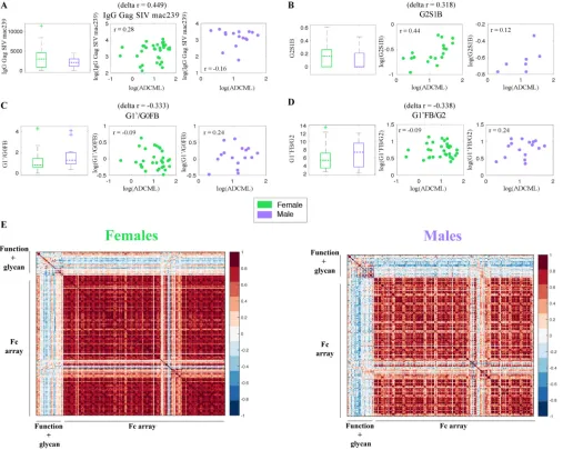 FIG 6 Systems serology approach to identify global sex differences in antibody proﬁles