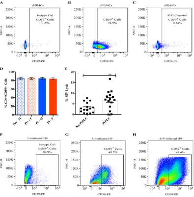FIG 2 Cellular CD59 expression and inhibition of SIV lysis. (A to C) Naive, uninfected rPBMCs were evaluated for CD59evaluated for CD59 expression via ﬂow cytometry