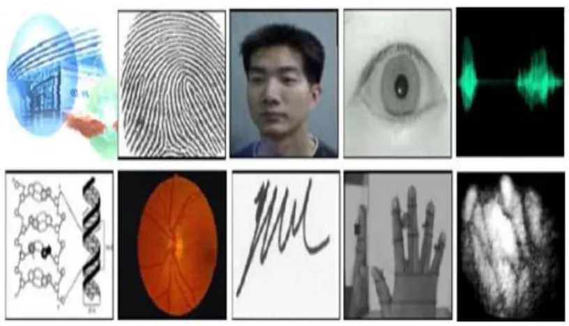 Figure 1.1 Types of Biometrics 