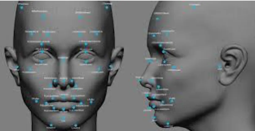 Figure 1.3 Face Recognition 