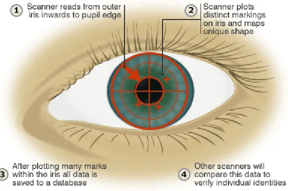 Figure 1.5 Iris Recognition 