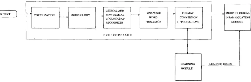 Figure h The structure of the constraint-based morphological disambiguation system. 