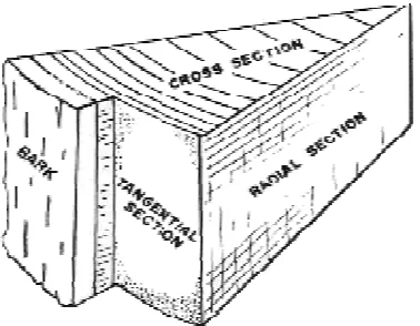 Figure 1. Three basic plane in wood  