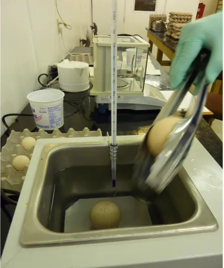 Figure MM-2. Water bath for boiling eggs. 