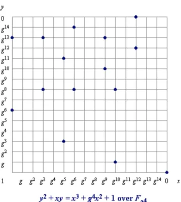 Figure 4.1: Example of elliptic curve over F 2 4 [32]