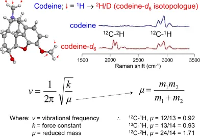 Figure 2 The use of isotopologues for absolute quantification using codeine-d6 as an example