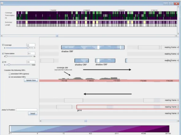 Fig. 6. Screen shot of a visual analytics tool to analyze RNA-seq data from Next-Generation-Sequencing [S