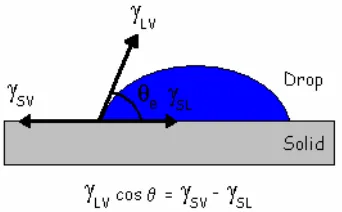 Figure 5.1 Shows the direction of the surface energies working between various media 