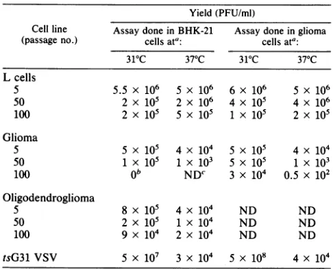TABLE 1. Plaquing efficiency of virus derived from persistentlyinfected cells