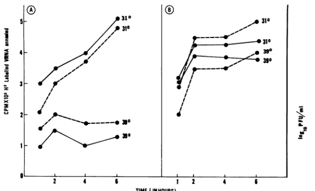 FIG. 3.atvirus every H3-labeled viral RNA annealed to mRNA from PIs is shown by solid lines (cpm x 103), and dotted lines represent replication of (PFU/ml)