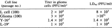 TABLE 5. Virus replication in brains of mice infected with virusisolated from persistently infected cells