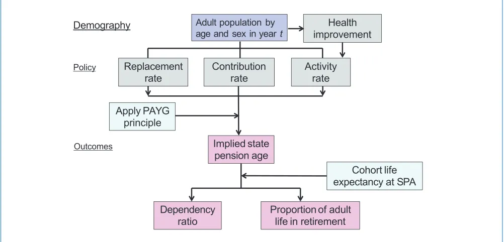 Figure 4: Flow diagram showing how the SPA, the dependency ratio and proportion of life spent in 