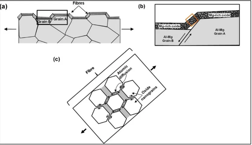 Figure 2.23 Schematics showing (a) GBS of bulk Al-Mg grains leads to the formation of steps at the surface