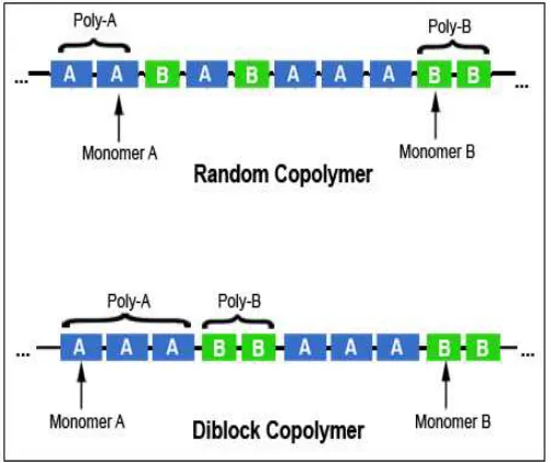Fig. 1. Example of Copolymers [9] 