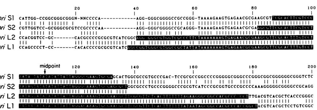 FIG. 8.palindromicinserted.inundetermined);Fig. adjacent Four HSV replication origins
