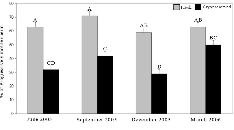 Figure 3b. Percentage of sperm with intact acrosome across season and across cryopreservation