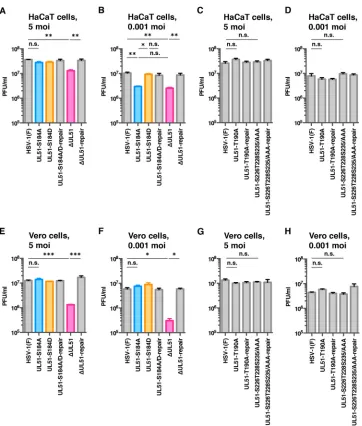 FIG 4 Effects of mutation(s) in UL51 on viral replication. (A to H) HaCaT (A to D) or Vero (E to H) cells were infectederror from triplicate or quadruplicate samples