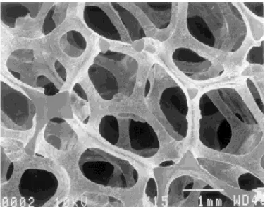 Figure 6 Scanning electron micrograph of ERG Duocel aluminum foam (Dharmasena et al, 2002) 