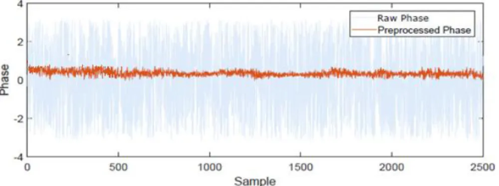 Figure 4.8: Comparison between the raw phase and pre-processed phase.