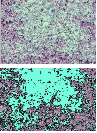Figure 6:  Original 0.2-meter image and classification 