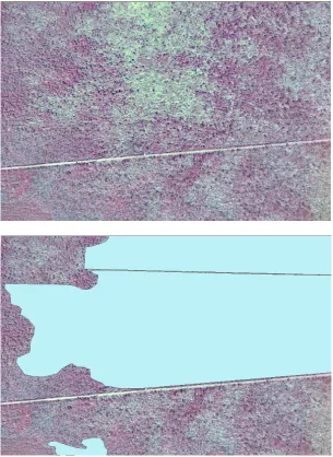 Figure 8.  Original image and manual classification  