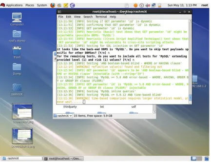 Figure 2: Vulnerability Exposed using Amplified Cross Script 