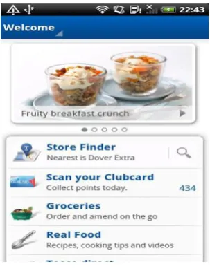 Figure 2.2: Tesco application 