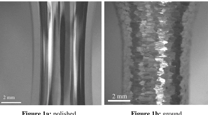 Figure 1a: polished 