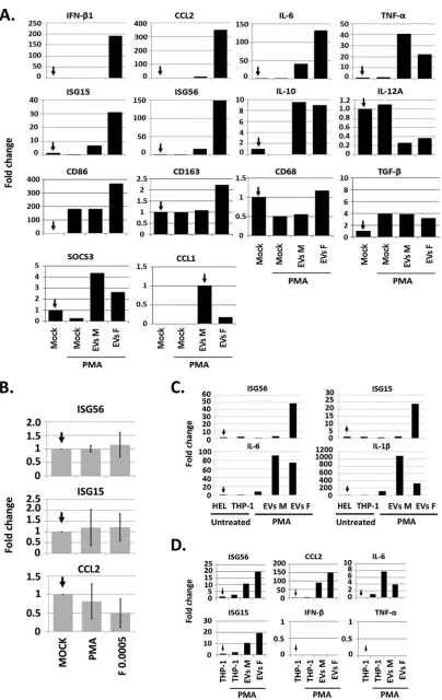 FIG 6 EVs derived from infected cells triggered the expression of a subset of M1-type markers in recipient macrophages in aSTING-dependent manner