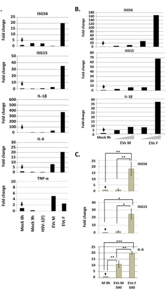 FIG 4 EVs derived from HSV-1(F)-infected cells activated antiviral responses in recipient cells in a dose-seeded in 6-well plates