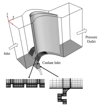 Figure 6. Computational domain and mesh. 