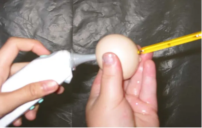 Figure M-1.  Calibration of infrared with mercury thermometer. The mercury thermometer was inserted into an opening in the egg shell until the entire length of the metal tip was in the egg (approximately 3.8 cm) and then sealed in place
