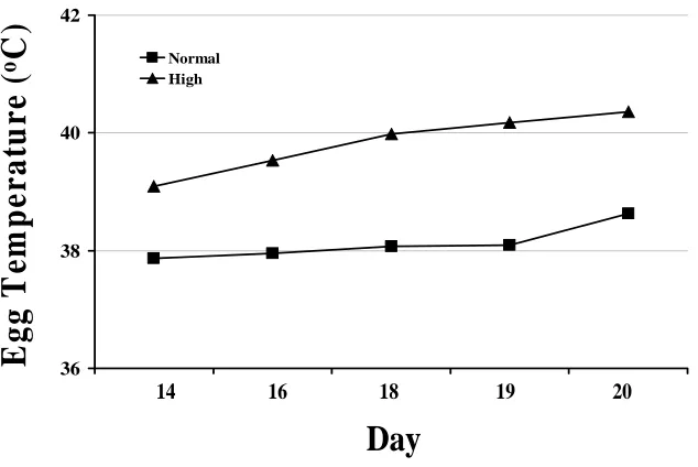 Figure M-4. Internal egg temperatures as result of high or normal temperature incubation in Experiment 3