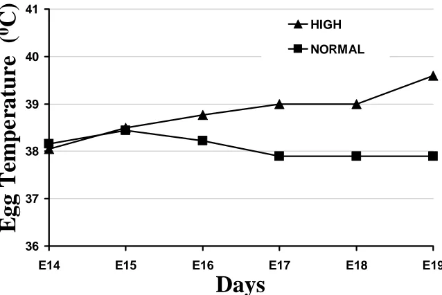 Figure M-13. Internal egg temperatures as a result of the high and normal incubation treatments in Experiment 7