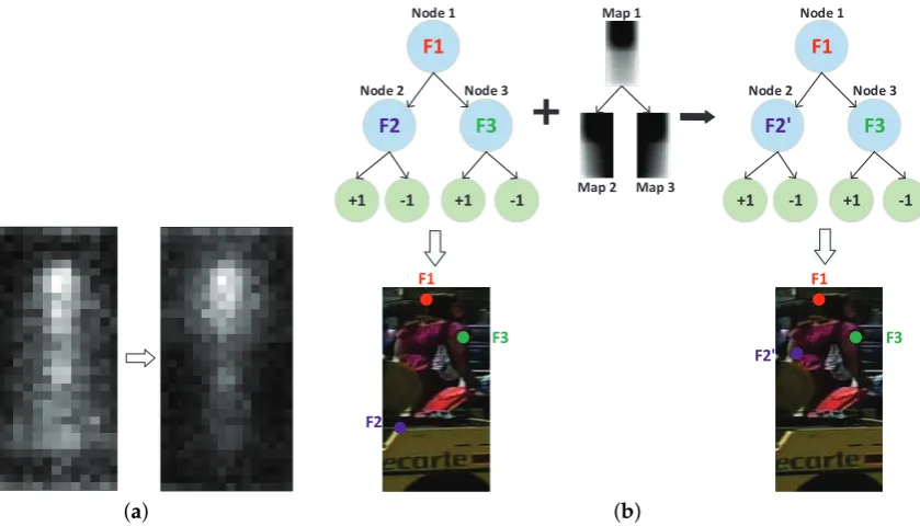 Figure 6. Occlusion-robust feature selection criterion. ((feature selection will be more biased to the low occlusion probability regions, as shown in the right;a) By including the occlusion distribution map,b) Feature F2 selected by the original training procedure are replaced by F2’ according to the occlusiondistribution map in node 2.