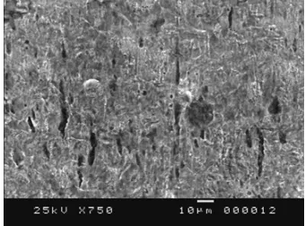 Figure 5. Effect of frequency (time of exposure) on the fatigue corrosion behaviour of SAE 8620 steel  in 0.6M NaCl aerated solution