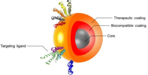Figure 1. Schematic of a multilayered SPION with personalized medicine application. The figure depicts the three main components formed by “layering” an iron oxide nanoparticle: (1) engineered Nano-Particle (ENP) core, (2) biocompatible coating and (3) the