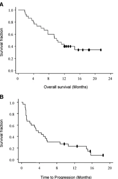 FIGURE 1. Kaplan-Meier curve showing (A) overall survival and (B) time to progression in all patients.