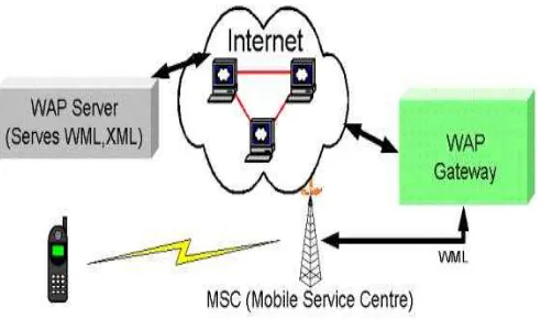 Fig. 1.  SMS Network Architecture 