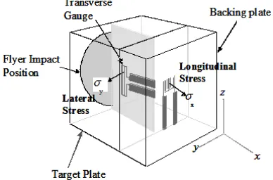 Figure 4:  Cavendish Laboratory Light Gas Gun 