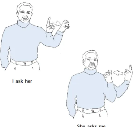 Figure 2.1: Context in Sign Language [3] 