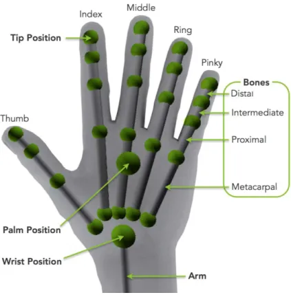 Figure 2.2: Hand Hierarchy [9] 