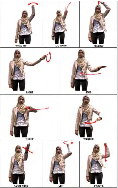 Figure 3.2. Dynamic far-gestures in the recorded dataset.